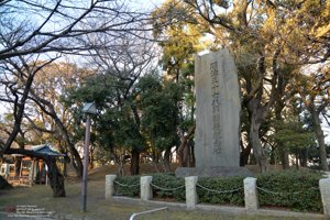 20180111144902_NIKON D7100.jpg